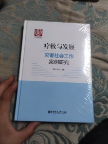 疗救与发展：灾害社会工作案例研究