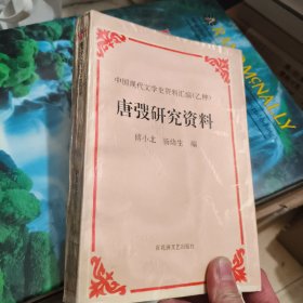 唐研究资料