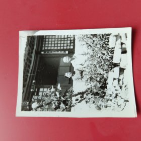 老俩囗