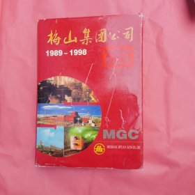 梅山集团公司志（1989一1998）