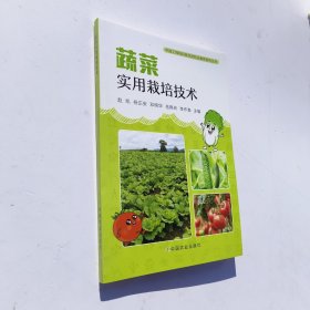蔬菜实用栽培技术/中国工程院科技扶贫职业教育系列丛书