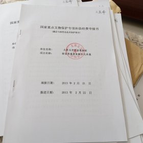 国家重点文物保护专项补助经费申报书（藏品与保管品技术保护部分）