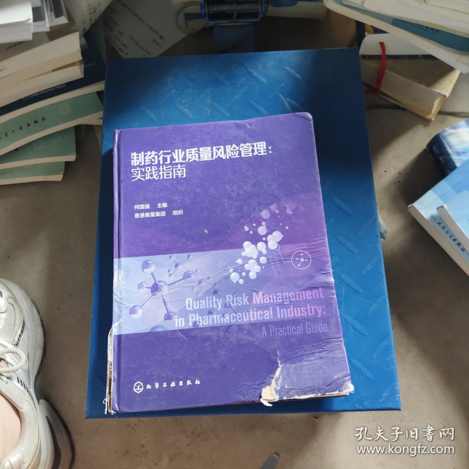 制药行业质量风险管理：实践指南