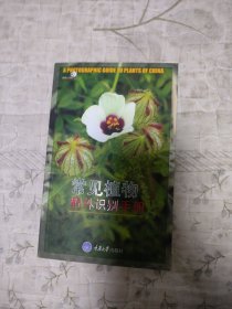 常见植物野外识别手册