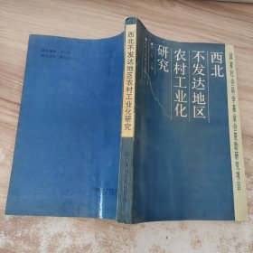西北不發(fā)達(dá)地區(qū)農(nóng)村工業(yè)化研究
