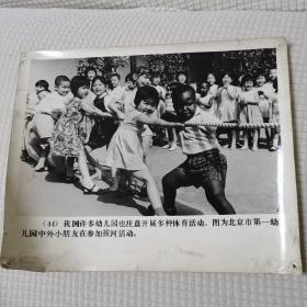 北京市第一幼儿园拔河活动