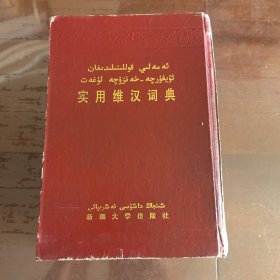 實(shí)用維漢詞典