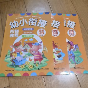 幼小衔接阶梯教程思维训练全三册