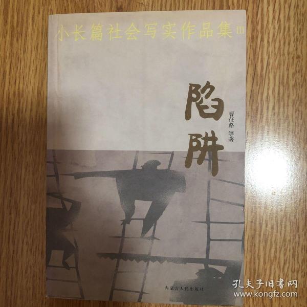 小长篇社会写实作品集：狐狸