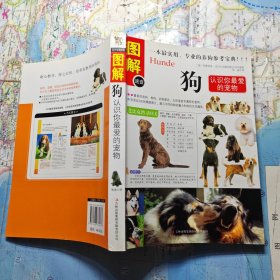 狗：认识你最爱的宠物