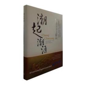 潮起潮涌：从环保产业发源地到集群的四十年：1976-2016 经济理论、法规 史春杨主笔