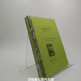 译文名著精选：海底两万里