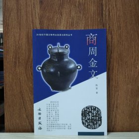20世纪中国文物考古发现与研究丛书：商周金文