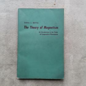 the theory of  magnetism