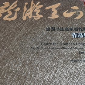 龙游天下全国书法名家百龙展作品集