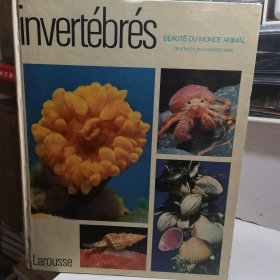 invertebres