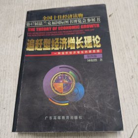 追赶型经济增长理论:一种组织经济增长的新思路 第五版