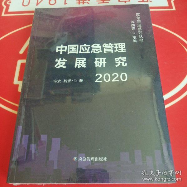 中国应急管理发展研究2020