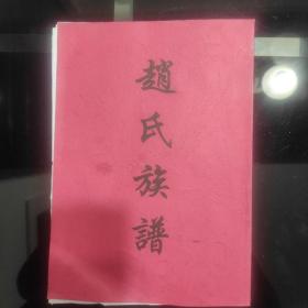 《赵氏族谱》四川泸州大沙田支谱