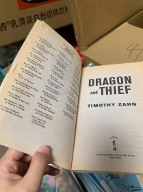 英文原版dragon and thief