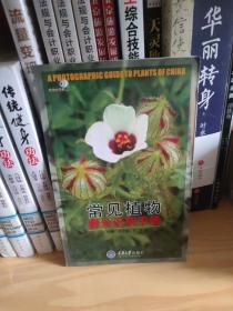 常见植物野外识别手册