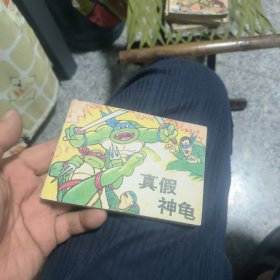 真假神龟