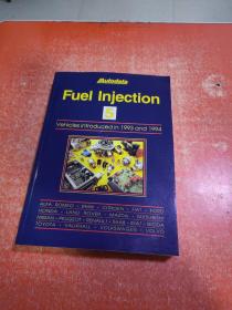 FUEL INJECTION汽车燃油喷射（外文原版）见图