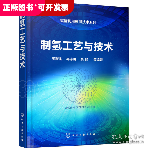 氢能利用关键技术系列--制氢工艺与技术