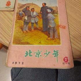 北京少年 1972年试刊2