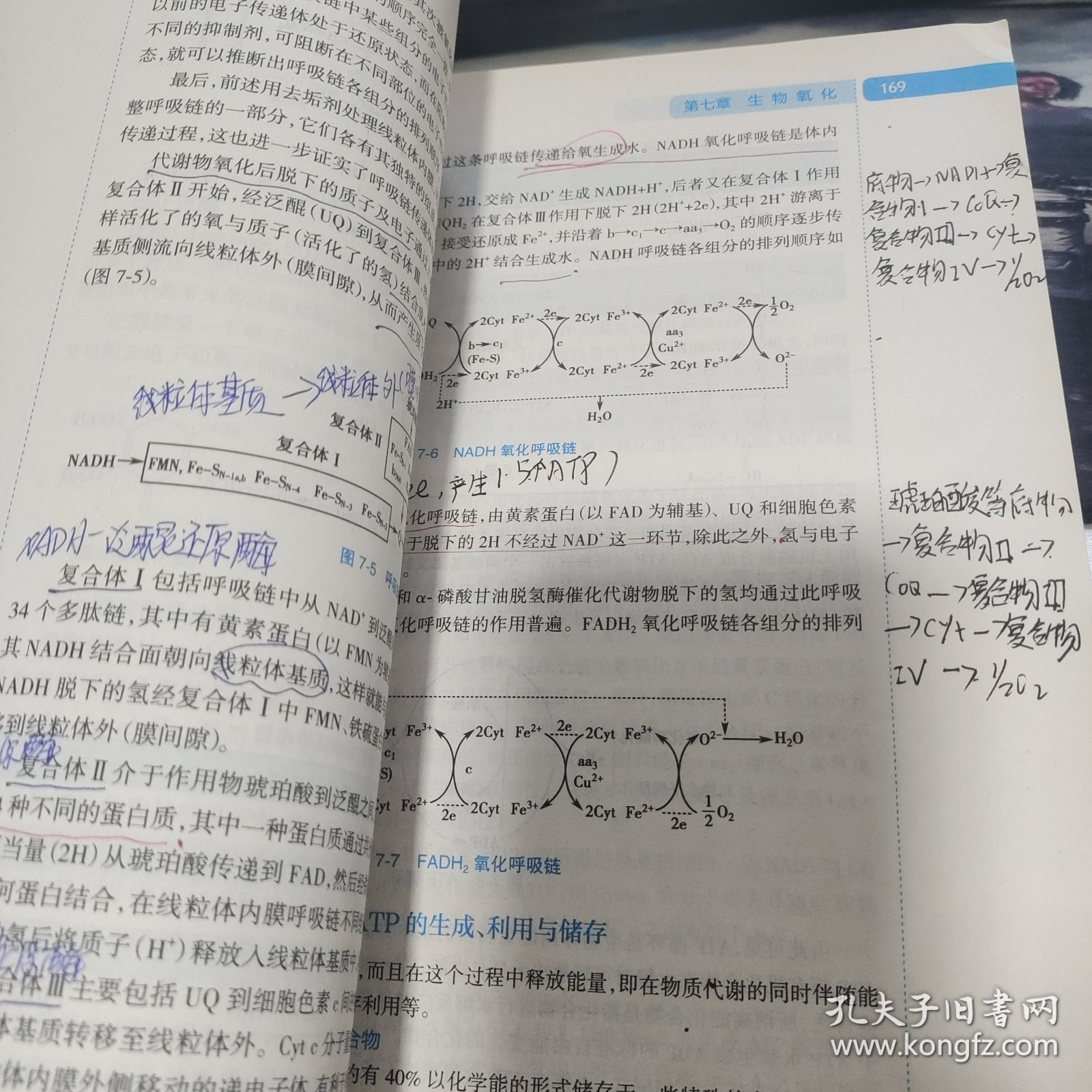 生物化学