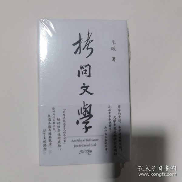 拷问文学（读了几百年小说，你需要知道作家为什么写小说）