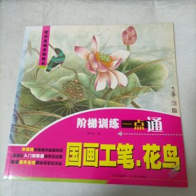 阶梯训练一点通：国画工笔、花鸟