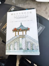 藏在木头里的灵魂:中国建筑彩绘笔记