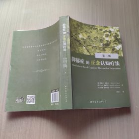 抑郁症的正念认知疗法 第二版