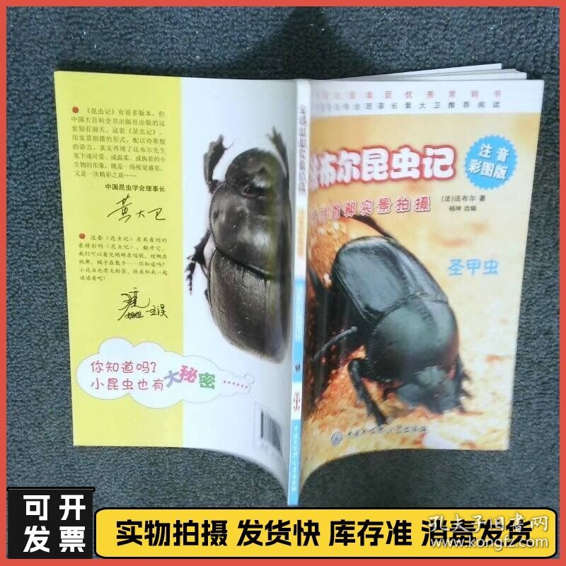 圣甲虫  法布尔 Fabre 中国大百科全书出版社