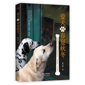 爱犬的春夏秋冬