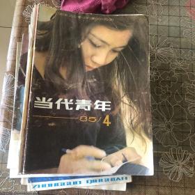 报告文学，东方青年，人与法，环球，小说月报，这一代等一些杂志，总共25本（柜顶）