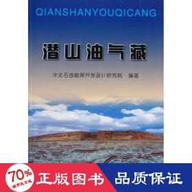 潜山油气藏 冶金、地质 华北石油勘探开发设计研究院