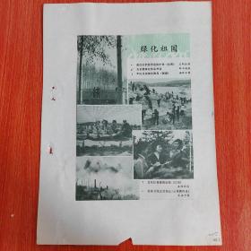 剪报剪刊   图片类   绿化祖国     黄泛区积极营造防护林（河南）／王刚法摄；   为首都绿化准备种苗／郑书福摄；   军民并肩绿化海岛（福建）谢添水摄；   总结杉树嫁接经验（江西）／王绍业摄；  毁林开荒必须制止（云南腾冲县）／王立力摄