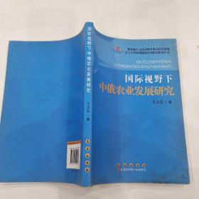 国际视野下中俄农业发展研究