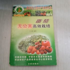 番茄无公害高效栽培/蔬菜无公害生产技术丛书