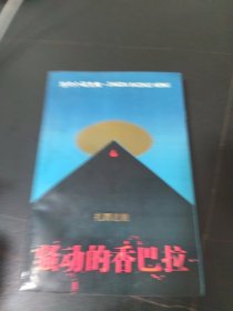 骚动的香巴拉