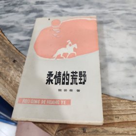 美柔情的荒野