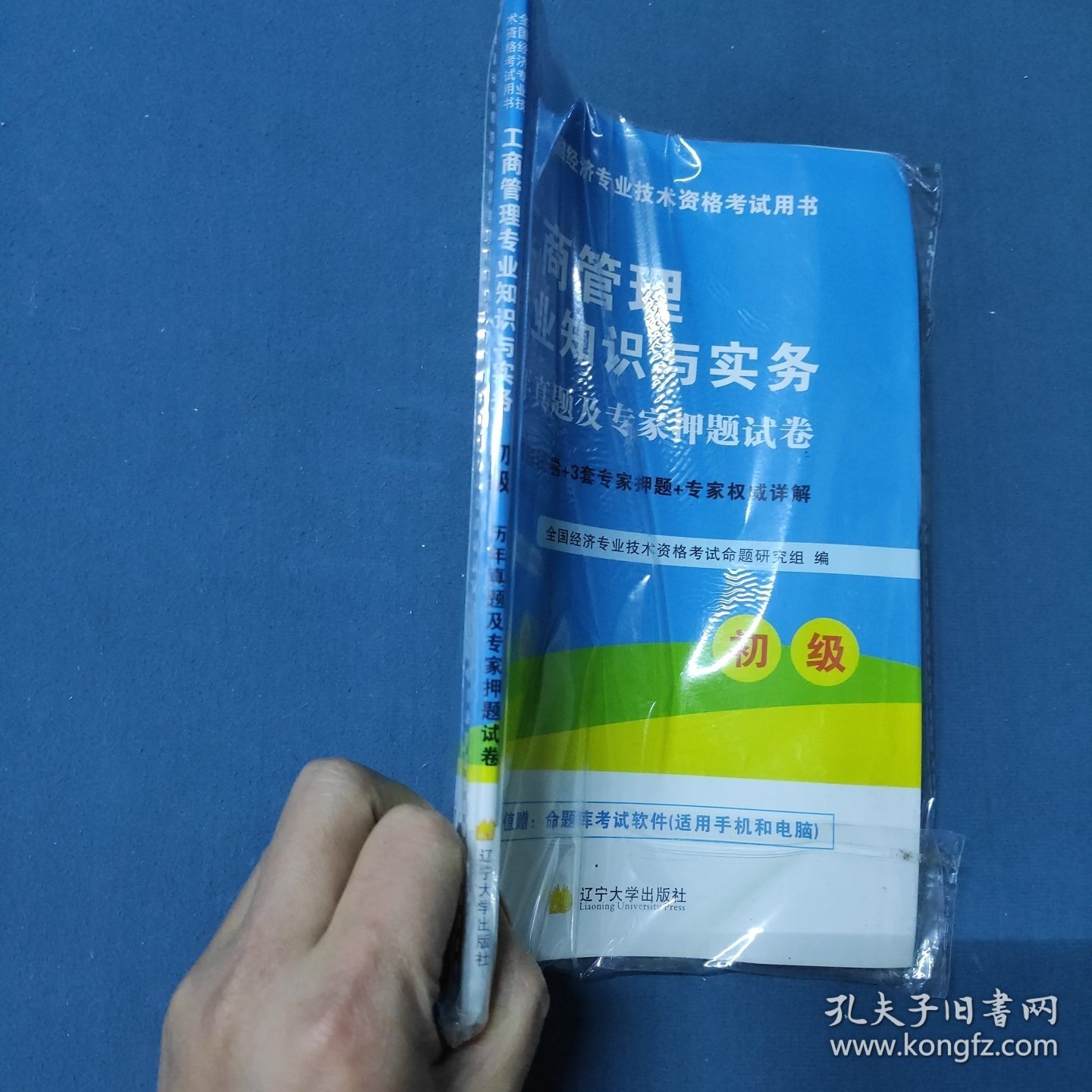 全国经济专业技术资格考试用书：工商管理专业知识与实务历年真题及专家押题试卷（初级 2015最新版）