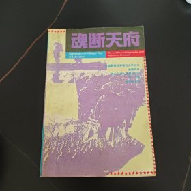 魂断天府:蒋介石在大陆最后时刻