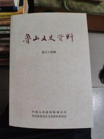 鲁山文史资料（第三十四辑）