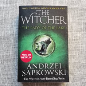 现货猎魔人5 The Lady of the Lake (Witcher Saga 5) 英文原版小说 巫师