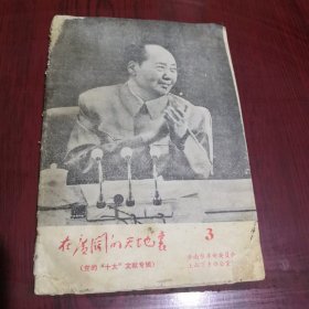 在广阔的天地里 第三期《党的十大文献专辑》