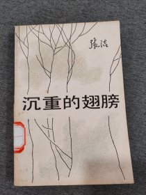 沉重的翅膀