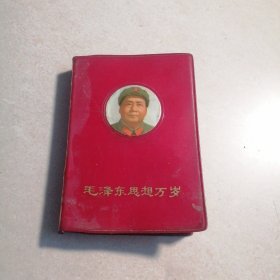 毛泽东思想万岁